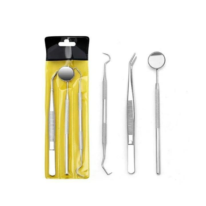 3-Piece Stainless Steel Dental Kit